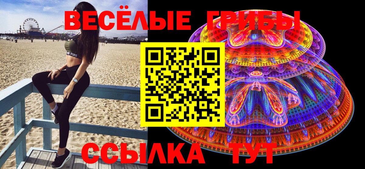 Галлюциногенные грибы мицелий  Вход с VPN  Лангепас  Псилоцибиновые грибы GOLDEN TEACHER 